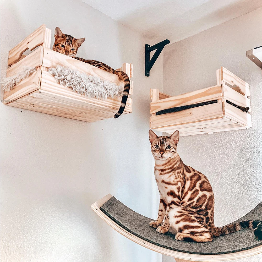 Photo inspiration: Wall Mounted Cat Wooden Basket Cat Shelf Perch Bed Sleeping Photo Inspiration