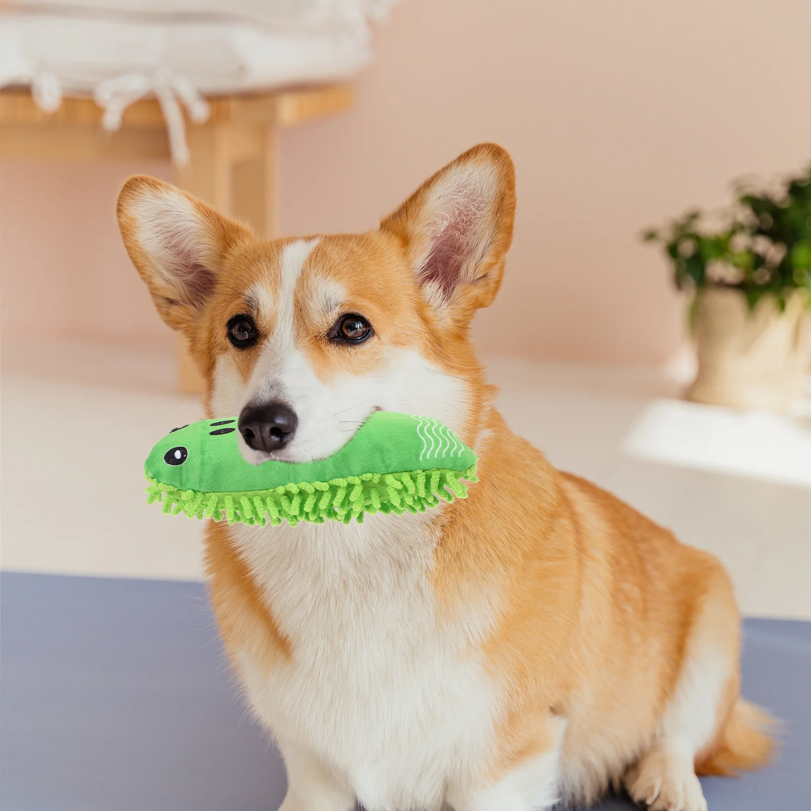 

Dog Molar Toy Cute Stuffed Pet Plush Toy Puppy Chew Toy Frog Shaped Stuffed Toy for Pet