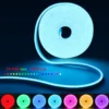 5V USB RGB Neon LED Strip 1M 2M 3M 5M RGB Neon Tape With TUYA Bluetooth App and Remote Control For Sign Neon Decoration Lighting 2