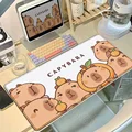Capybara-10