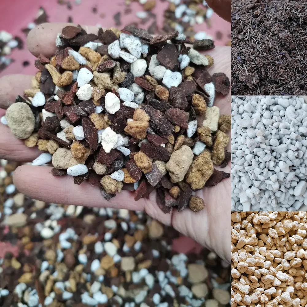 Porous Soil Matrix 50g Pumice Stone Configure Nutrient Soil Plant Breathable Loose Substrate Gardening Soft Stones