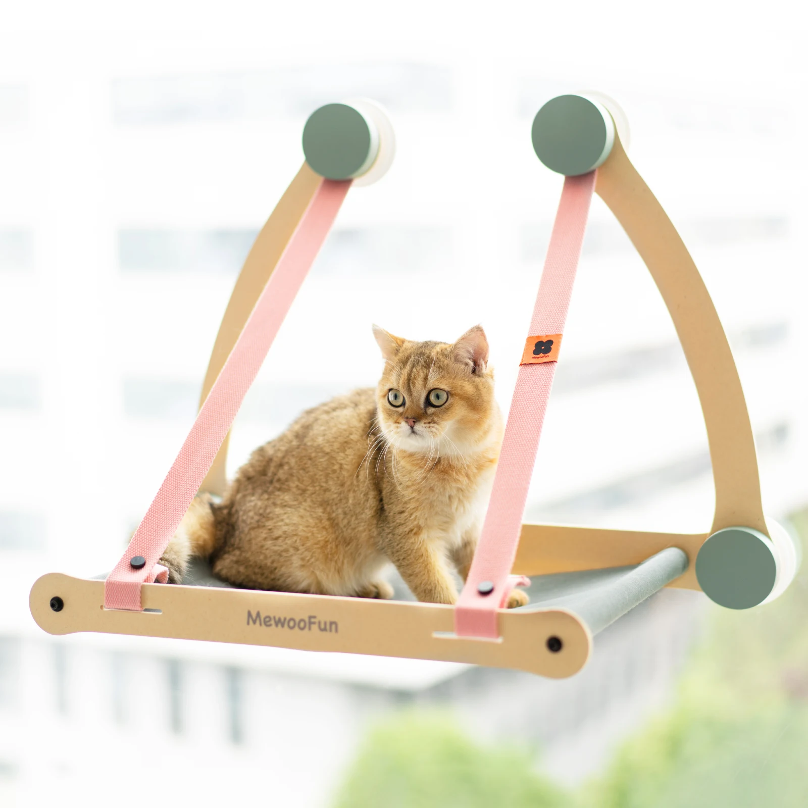 

New Sturdy Cat Window Perch Hammock Cat Window Seat With Strong Suction Cups Holds Up To 30 Lbs