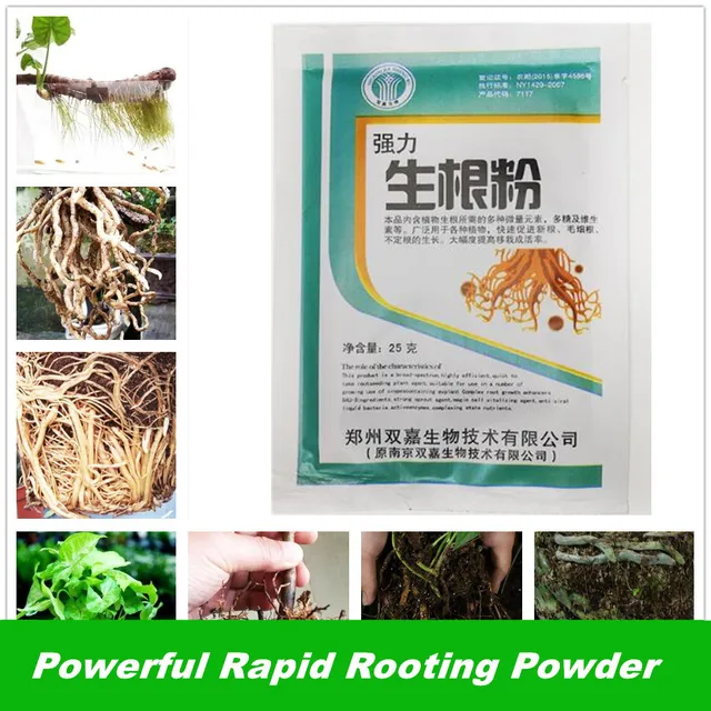 25 G Gyors Gyökérpor Növényi