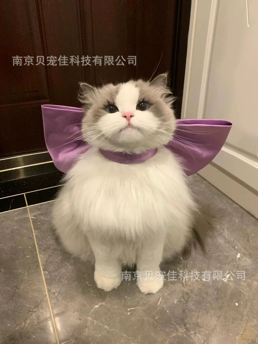 gmmUi/2jyNSkrcd8g6hgVCaYPGLisjBwEivf