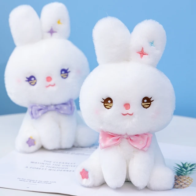 Smiling Bunny Rabbit