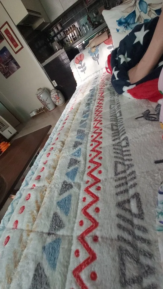 Bohemian Milk Velvet Sofa Cover | Plush Thick Boho Sofa Protector photo review