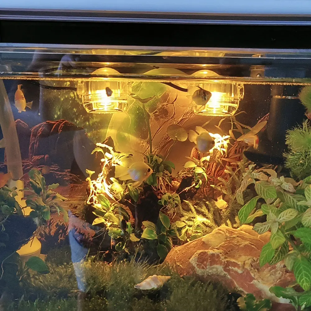 Aquarium Spotlight USB Colorful Gradient Diving Light LED Small Lamp Romantic Fish Tank