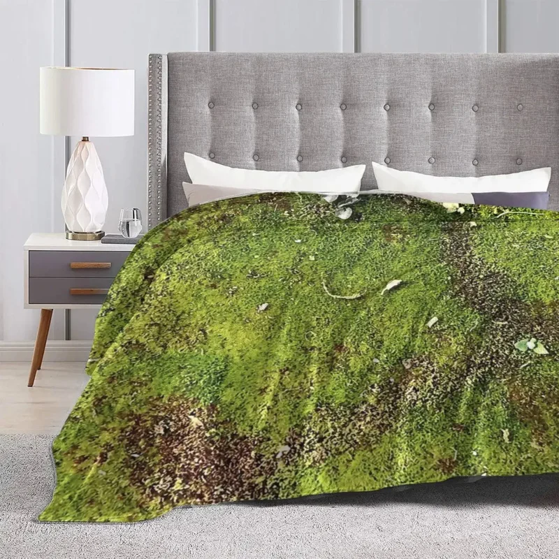 �̳��� ���� ���, �ε巴�� ������ �ö��� ������ ��� ħ�뺸, ħ�� �Ž� ��ũ�� ���� Ȩ ����