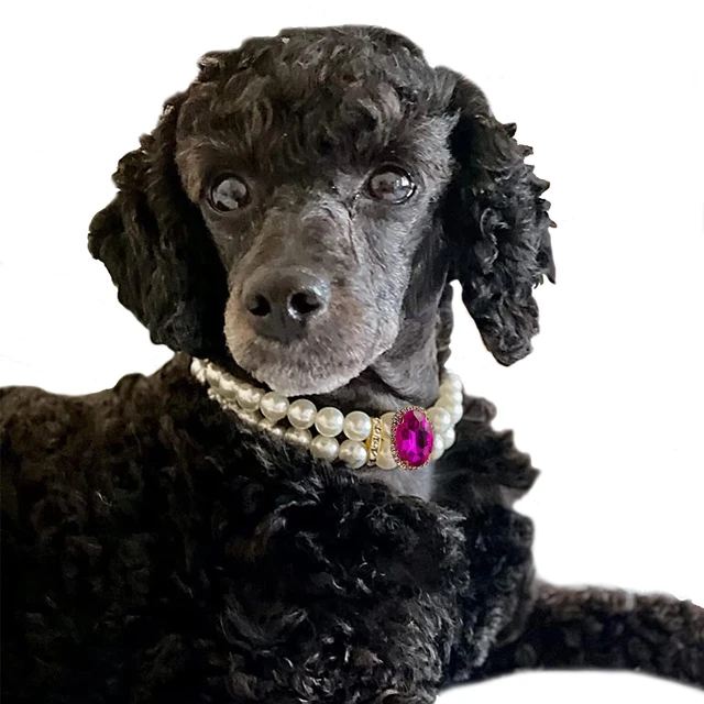 Tiffany Three Layer Pearl Dog Collar Dog Necklace Diamond Cat Collar Pearl  Pet Jewelry - Etsy Denmark