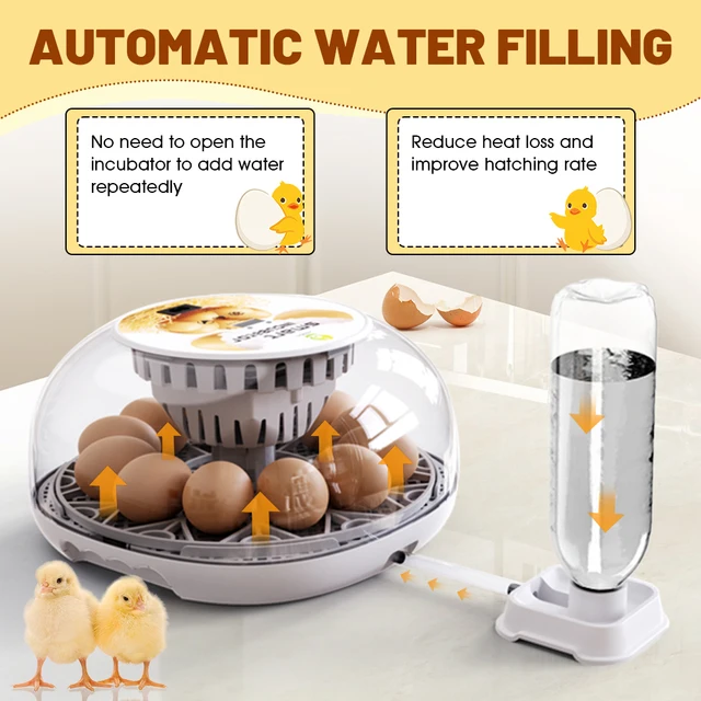 12 Eggs Incubator for Hatching Eggs with Automatic Egg Turner, Temperature Control, Automatic Water Adding for Hatching Chicken,