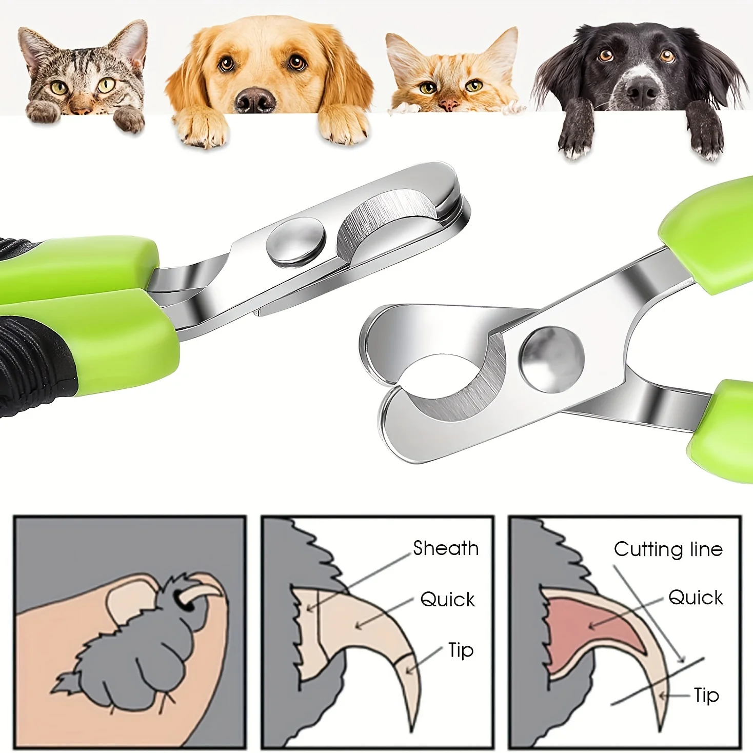 Pet Nail Clippers Are Small, Safe, and Easy To Use Cat and Dog Claw Nail Trimmers That Prevent Excessive Cutting Tearing