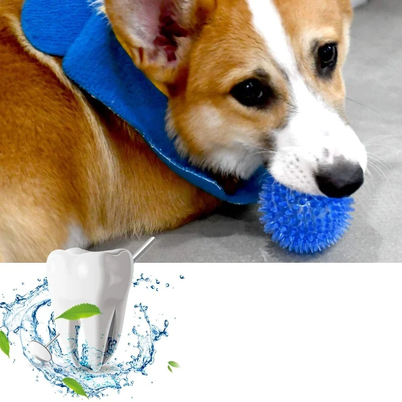 Sounding Chew Ball For Dogs And Cats Tooth Cleaning Training Toy_voghion.com