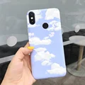 Case-c31