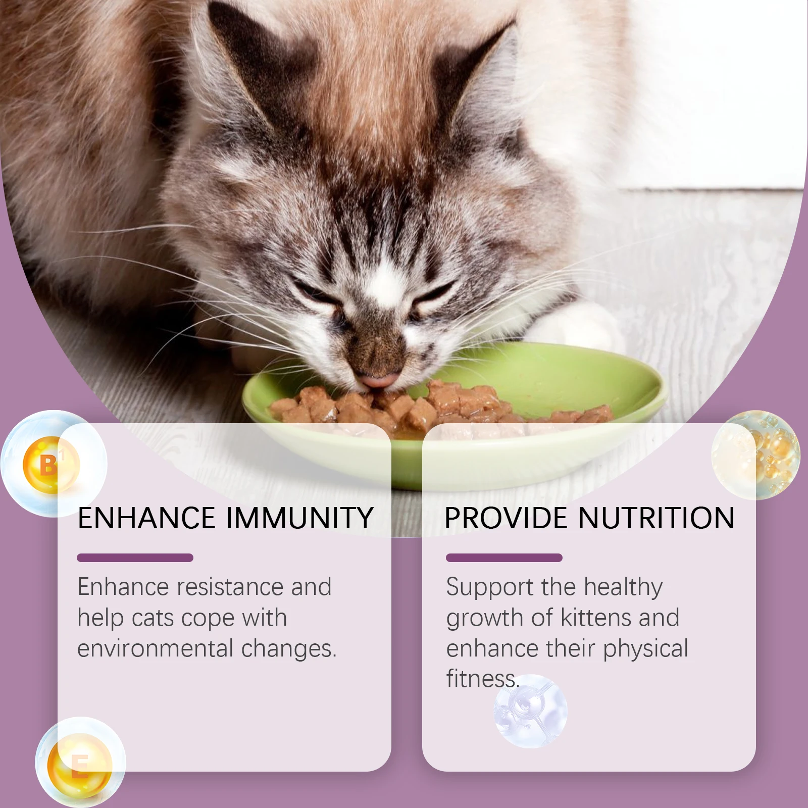 Feline L-lysine tablets For Cats Tablet To Enhance The Immunity Of Pet Cats,Keep Cats In Good Health Natural Ingredients