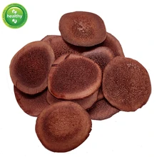 

Lu Rong Has Tonifying Kidney and Strengthening Yang