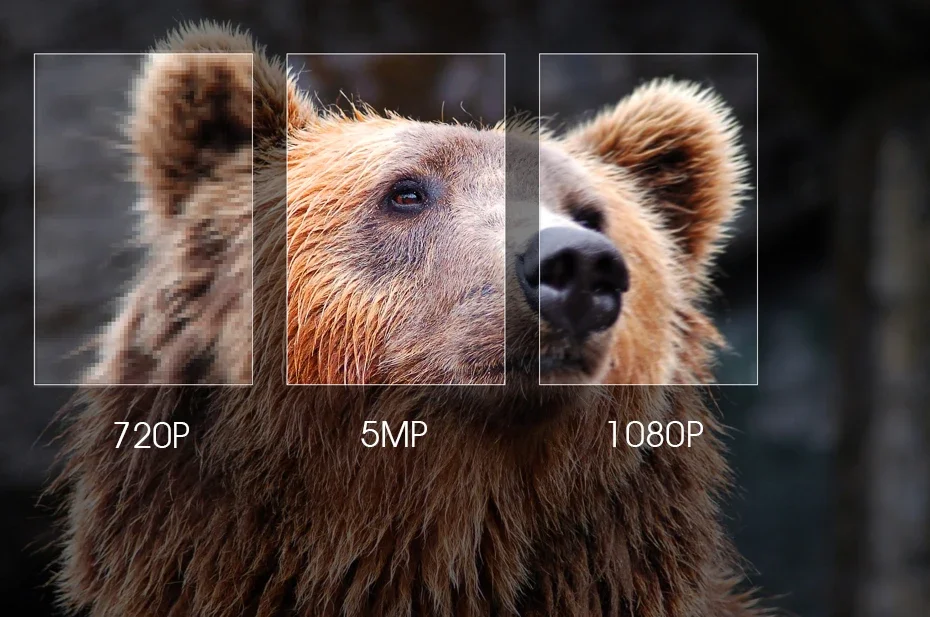 كاميرا مراقبة داخلية بزاوية واسعة مركبة على السقف