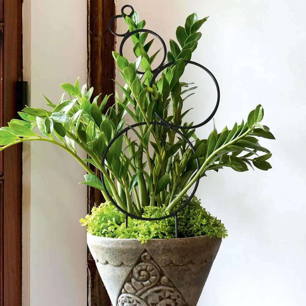 Description Picture 3 of itemTrellis For Potted Plants Indoor Small Stackable Metal Wire Houseplant Trellis For Climbing Plants Support