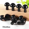 Obsidian-1pcs