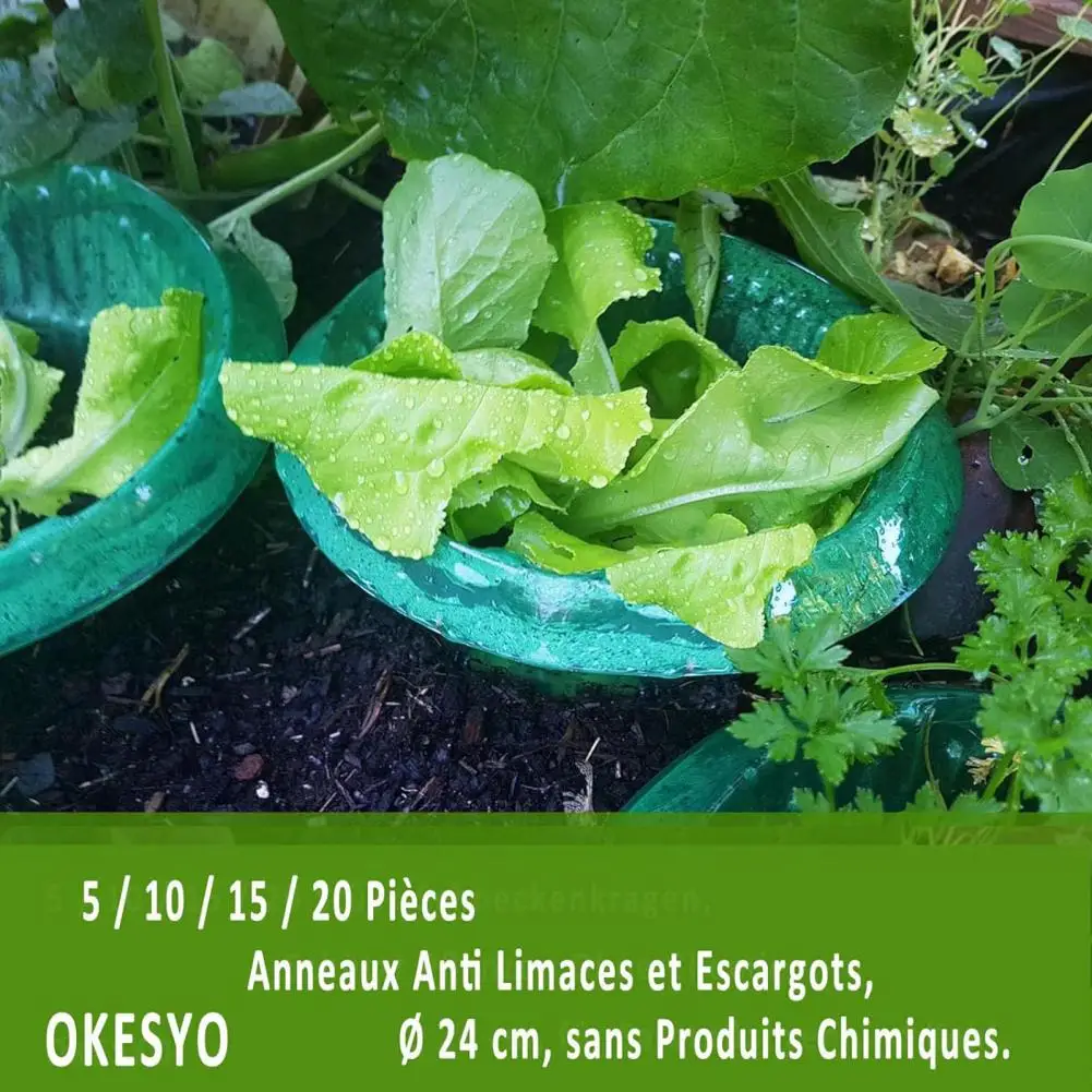 

Snail Collars Weather-resistant Transparent Garden Cloches Reusable Plant Protectors for Slug Defense 1/5/15pcs Plant Cover