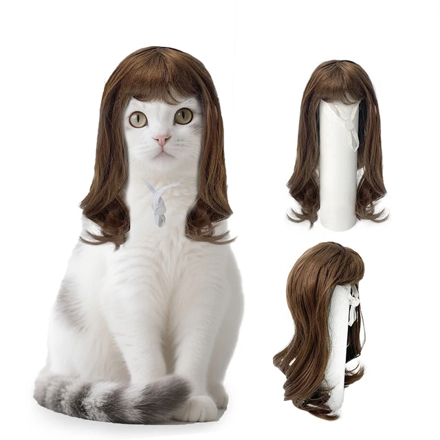 Pet cat bangs straight hair wig braids Pet dog big wave wig headdress holiday cosplay costume accessories 4