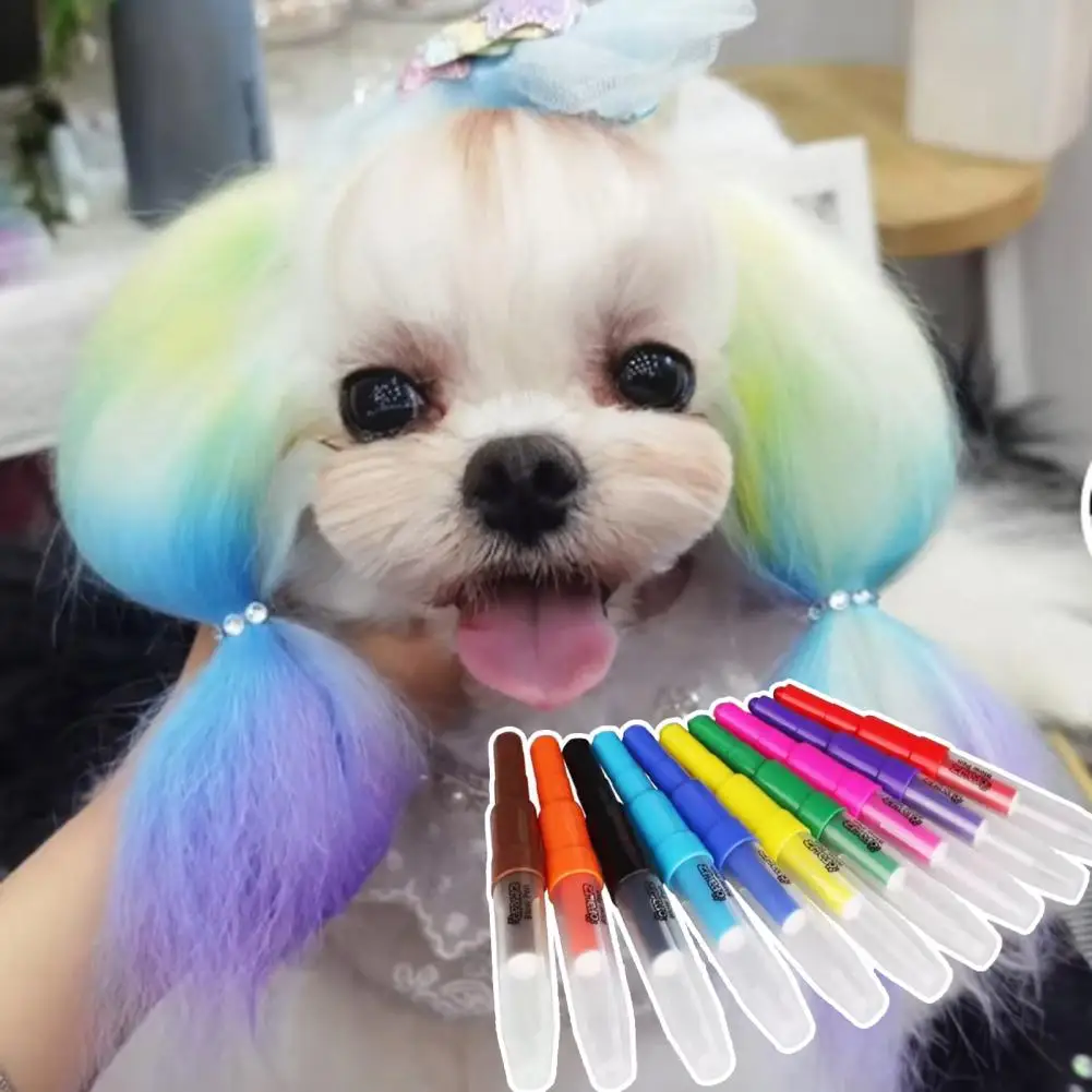 Bâton de embaupour animaux de compagnie, agent sain pour poils de chien,  stylo de peinture à la craie pour poils d'animaux, colorants pour poils  d'animaux, poudre pour chiot, 10 pièces - AliExpress