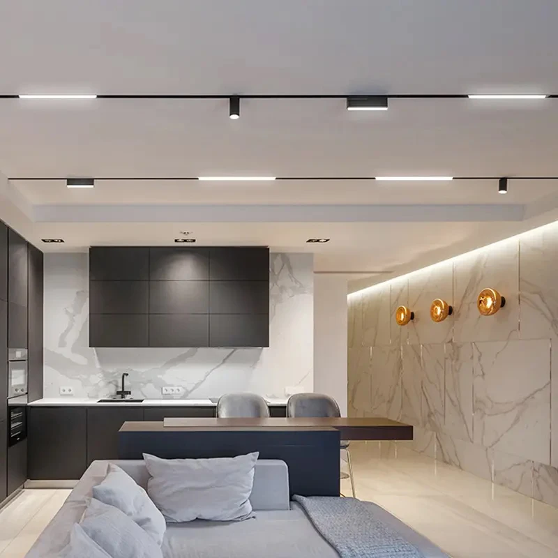 스마트 홈 마그네틱 트랙 조명 시스템, 디밍 LED 마그네틱 트랙 라이트, Zigbee Tuya DALI 디밍 자석 레일 라인 램프, 48V 