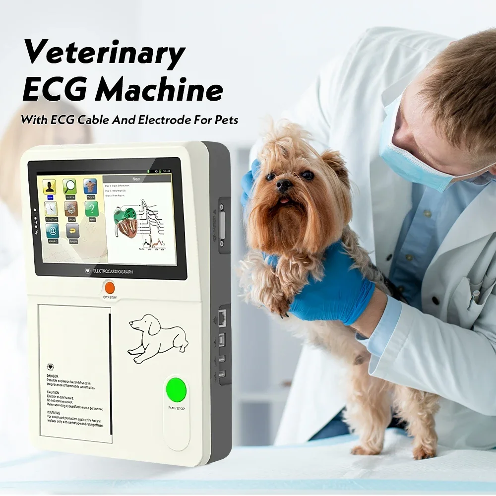 6 Channel 12 Lead Veterinary ECG Machine 7"Touch Screen Vet Electrocardiograph For Pets with Thermal Printer