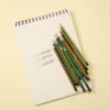 12pcs Box Wooden Lead Pencils with Top Eraser Triangle Comfortable Grip HB Pencil for School Office Writing Supplies Stationery 2