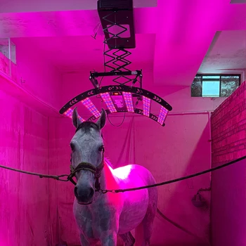 700W Equine Red Light Therapy Bar System 1