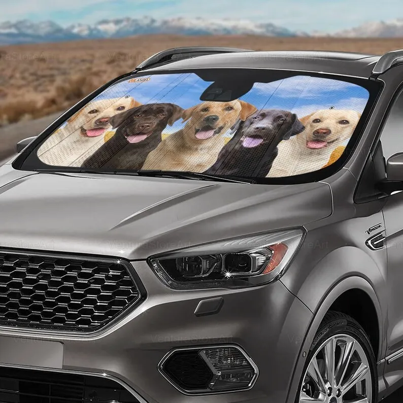 Рисунок 3 - Лабрадор автомобильный солнцезащитный козырек