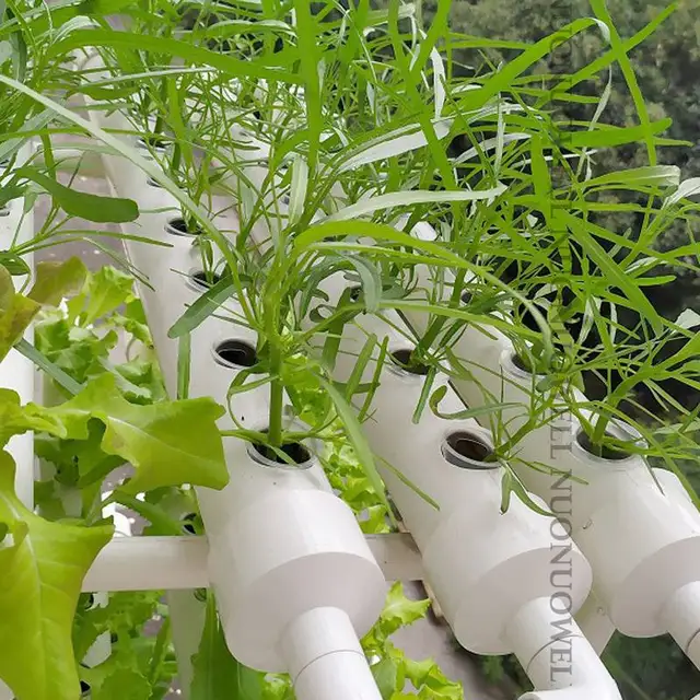 50Db Poliuretán Szivacs Kerti Zöldség Legfelsõbb Termesztése Média Hidroponikus Kosarak Ültetési - Image 5