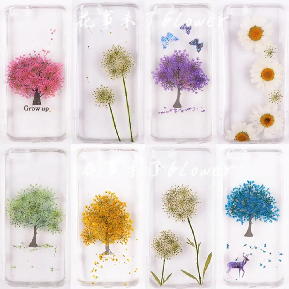 Description Picture 2 of item12pcs/set Pressed Dried Ammi Majus Flower True Flower Hand-made Plant For Home Party Decoration Gifts Crafts DIY Party Supplies