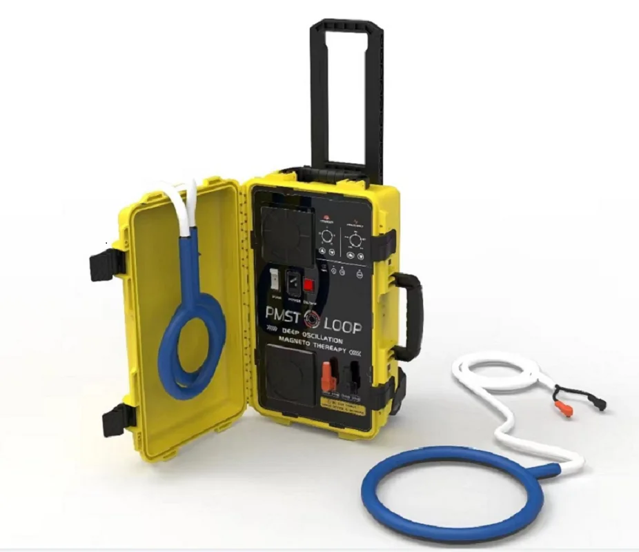 Macchina Per Fisioterapia Per Alleviare Il Dolore Del Cavallo Pmst Loop Pemf Loop Per La Riabilitazione Del Cavallo Trattamento Del Dolore Del Corpo P