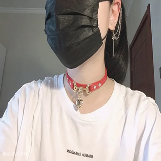 The ID Collar – Collar & Ruff