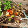 13PCS Succulent Plants Tool Set Mini Garden Planter Kit Transplanting Outdoor Bonsai Gardening Planting Tool Hand Tools Potting 2