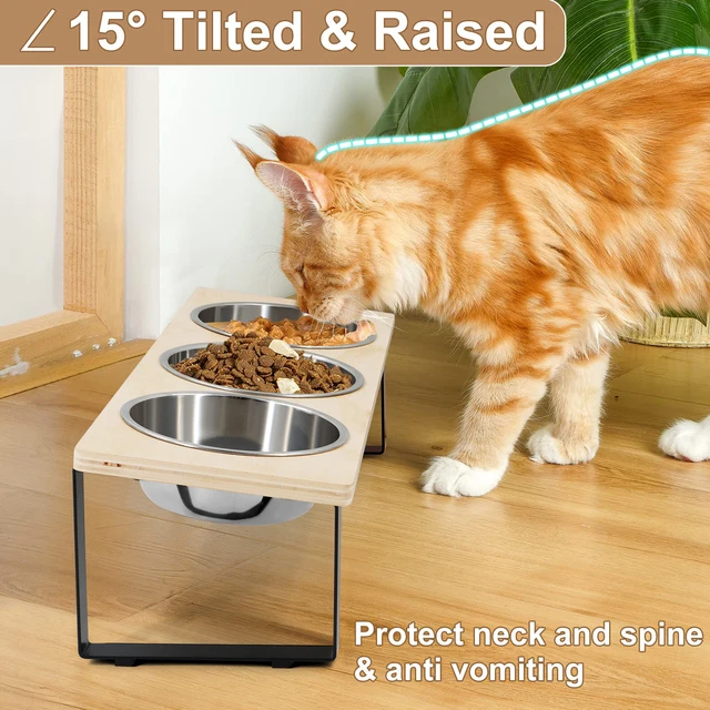 Elevated Cat Bowls with 3 Stainless Steel Bowls 15° Tilted Anti-Vomiting Raised Cat Food Bowl for Small Cats Puppies Accessories 2
