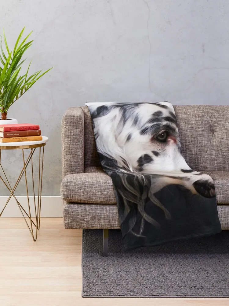 ���� ���� ���� ���� ���� ���� �� ��� ���� �÷��� ���