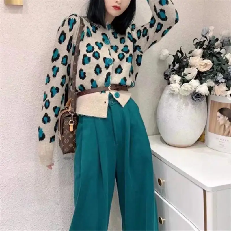 ������ ��Ƽ�� ª�� ��Ʈ ī���, ũ��� ȣ�ǹ��� �Ƿ�, ������ ������ ��Ŷ, �ѱ� 2022, ����, �ܿ�