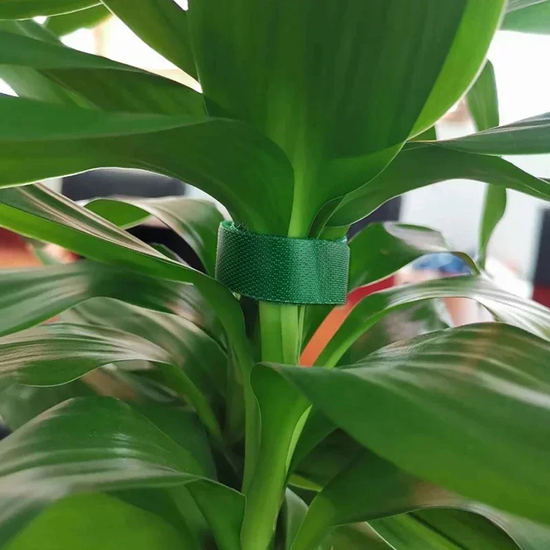 Plant Bandage Nylon Plant Ties 5Roll 2M Adjustable Support Hook Loop Reusable Garden Bamboo Cane Wrap Support Accessories plant ties,plastic plant cable ties,plastic plant supports,plant clips,plastic plant clips