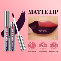 Waterproof Lip Resistant Lip Tints Stain Tint for Lips Stick Free Shipping Liquid Lipstick 24 Hours Water Resistant Lipsticks 2