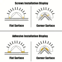 Self Grooming Brush 4