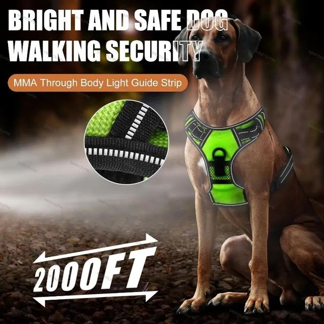 LED Glowing Luminous Dog Harnesses Essential for Dog Walking Safety at Night Dog Vest with Three LED Light Modes Rechargeable 3