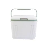 Réfrigérateur de voiture portable 22L, petit congélateur, compresseur, glacière, réchauffeur, boîte d'isolation pour usage domestique, véhicule, camion 6