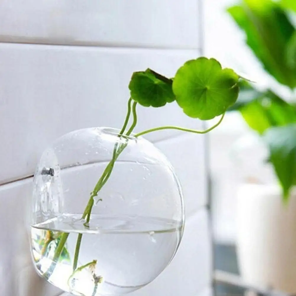 Wall-Mounted Glass Vase, Wall Hanging Hydroponic Glass Flowerpot, Transparent Half Globe Shape Plant Container, Fish Tank