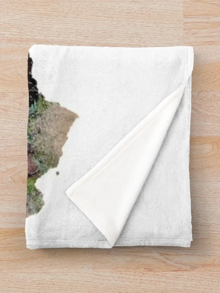 �α��� �� �����Դϴ�. -�α� ������ ���, ����ִ� ����, ���Ÿ� �귣�� ������ ����, ��� ��Ƽ�� ���