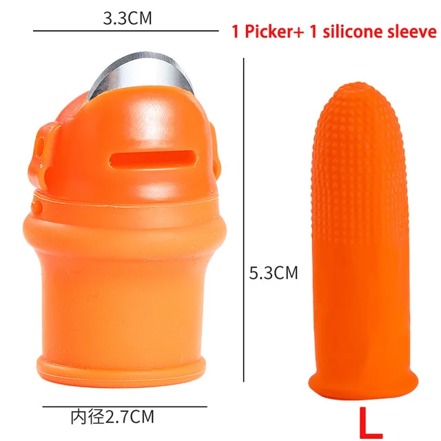 L1