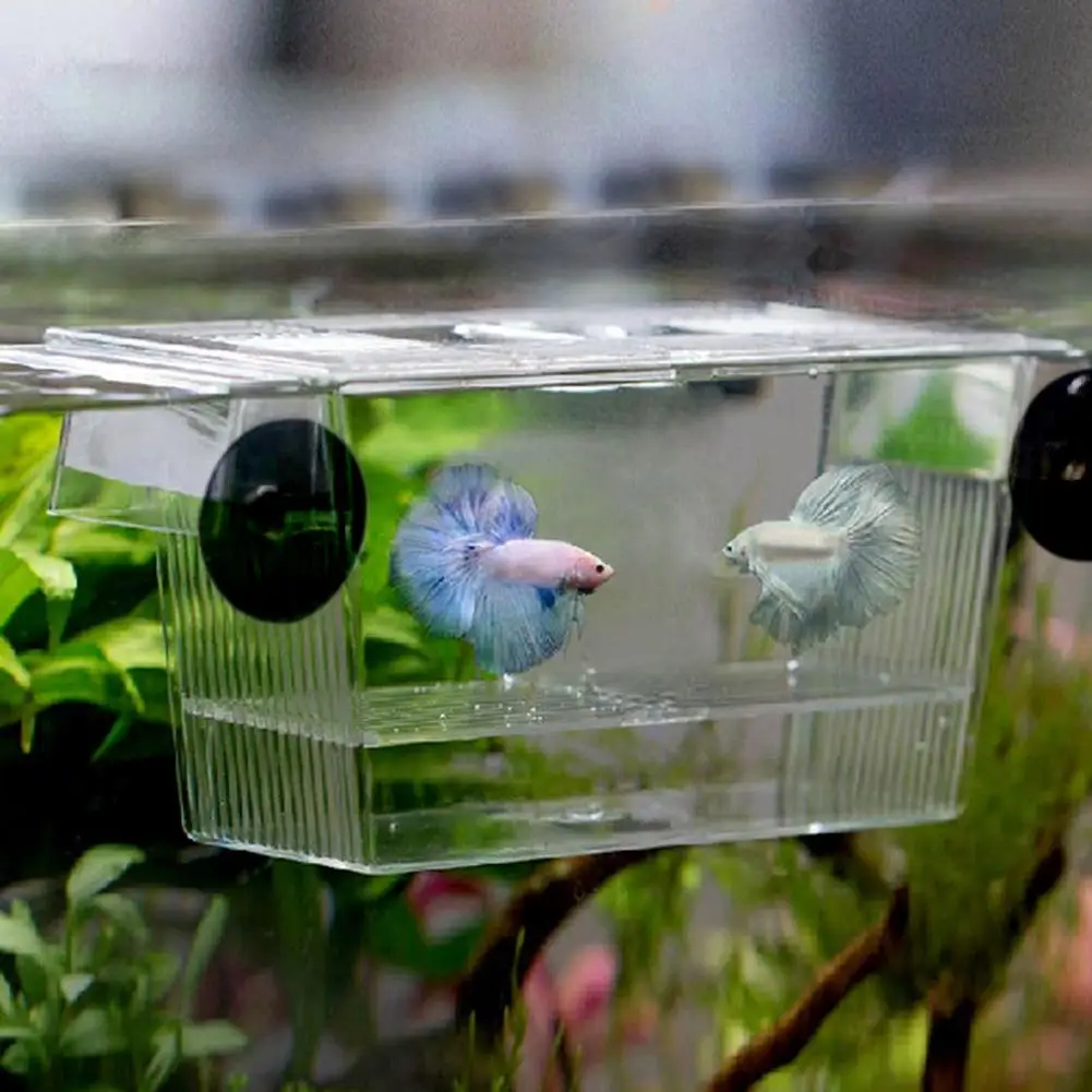 Fish Tank Isolation Box Aquarium Juvenile Fish Acrylic Breeding Incubator Holder Breeding Isolation Aquarium Hatchery