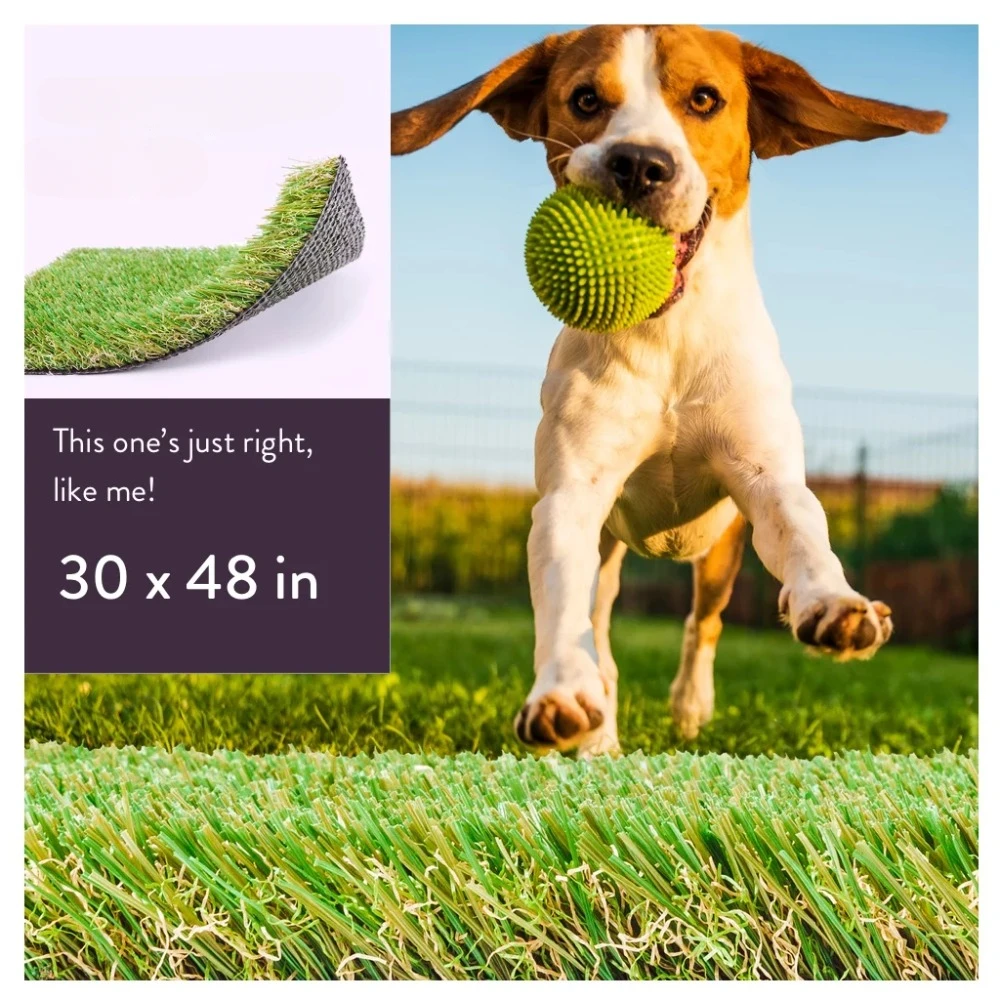 

30 x 48 in Artificial Grass for Medium Pet Dog Potty Indoor/Outoor Area Rug