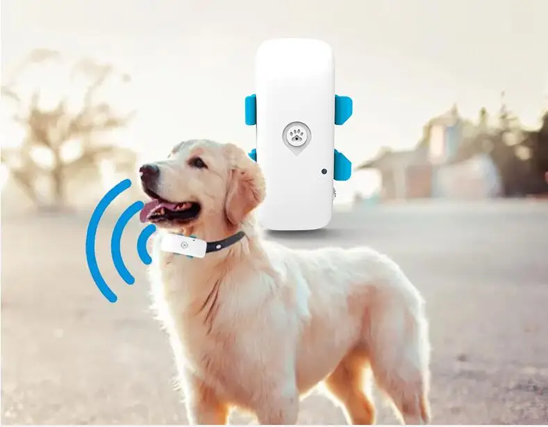 4g pet gps tracker em tempo real rastreamento cão gato animal