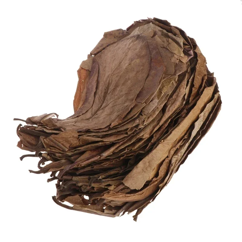 Aquarium Leaves 50pcs Aquarium Almond Leaves Catappa Leaf Fish Cleaning Water Balance PH Acidity